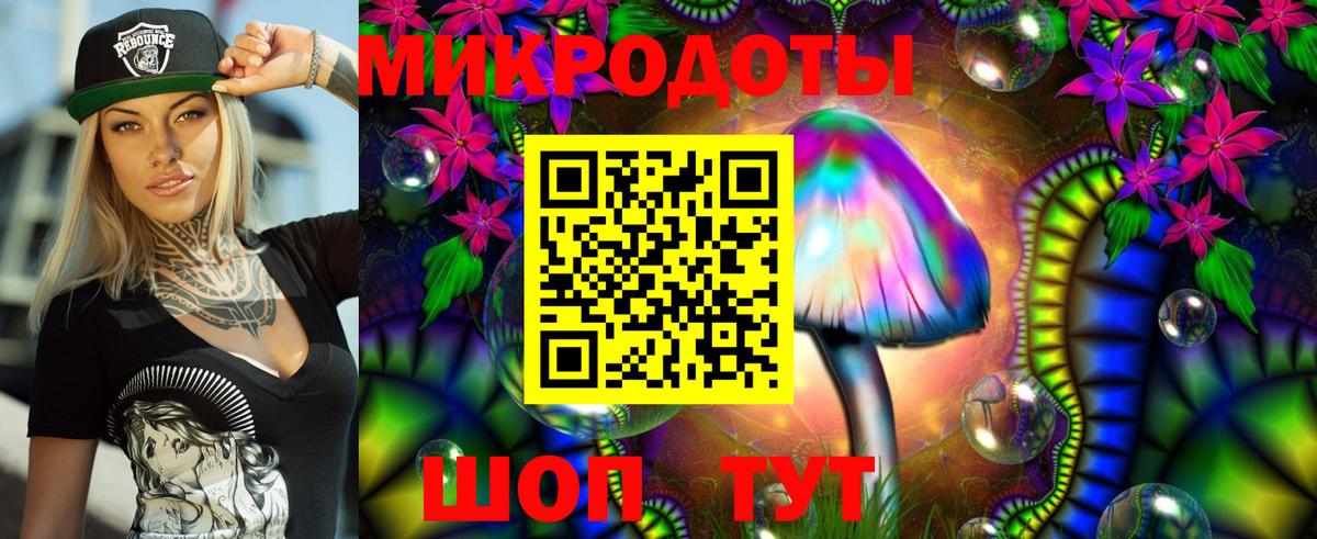 Галлюциногенные грибы Psilocybe Вязьма